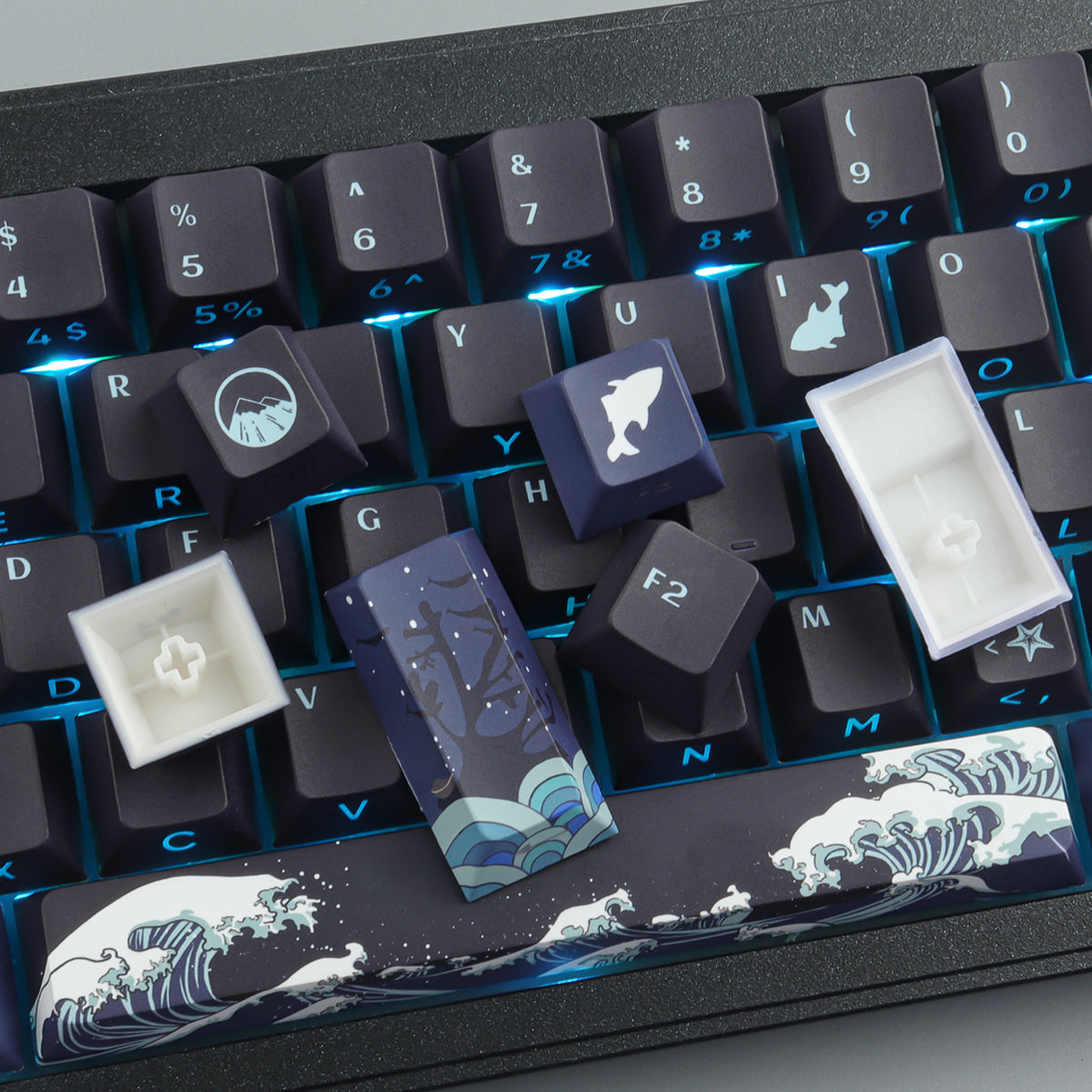 Black Coral Sea Side light keycaps